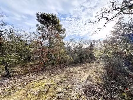 terrain 2938 m² gordes