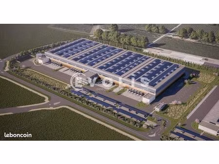 local industriel 21 382 m²