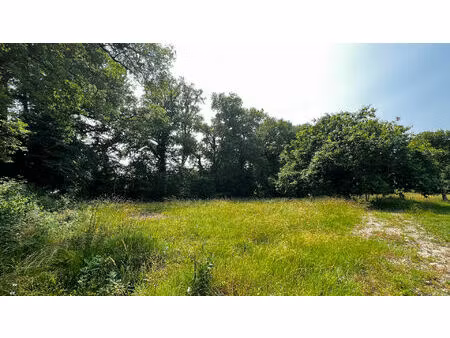 vente terrain  2044.00m²  médis