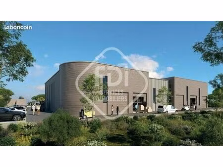 local d'activité 246 m²