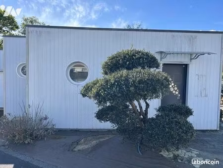 local d'activités brains