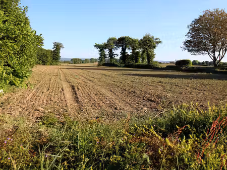 terrain à vendre à landeleau (29530) - finistère