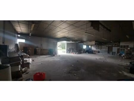 xonrupt longemer locaux commerciaux et cellules artisanales