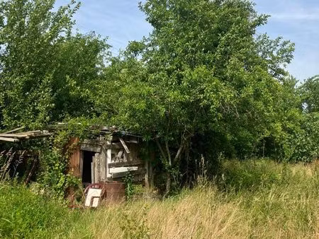 terrain de 20 ares avec arbres fruitiers  puits et ruisseau – idéal jardin/potager