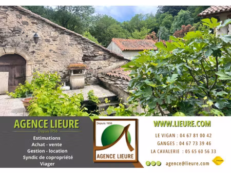 en cévennes  propriété en viager  à vendre