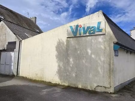 murs commerciaux 200m²