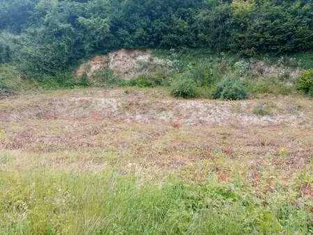 vente terrain à grainville-la-teinturière (76450) : à vendre / 1450m² grainville-la-teintu