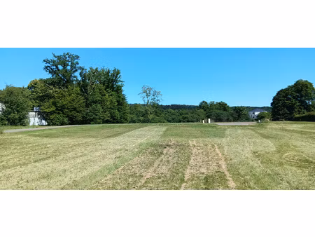 rare terrain plat et viabilisé pour votre futur maison !