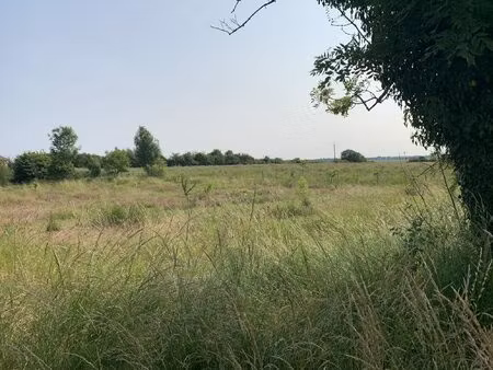 terrain à vendre prenois