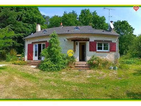 vente maison 7 pièces 83 m² nançay (18330)