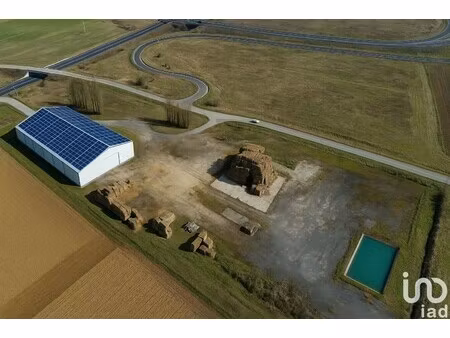 vente hangar 2 900 m²