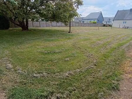 vente terrain à plaintel (22940) : à vendre / 1133m² plaintel