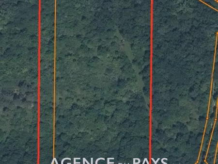 parcelle de bois 1.5 hectares