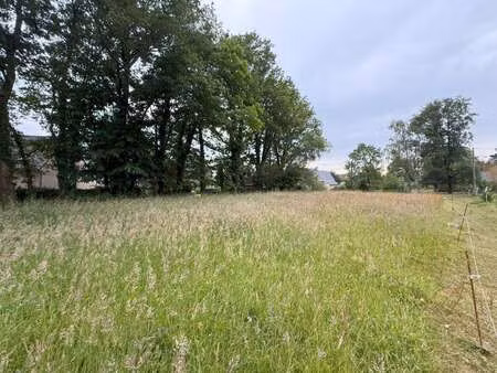 vente terrain à questembert (56230) : à vendre / 1371m² questembert