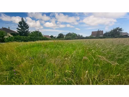 vente terrain 794 m² à souvigny (03210)  21 600 €