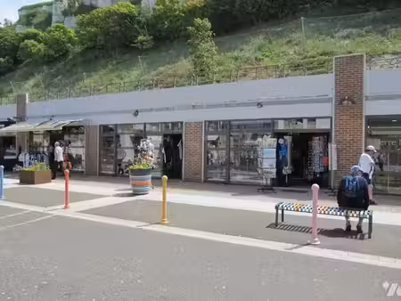 vente locaux professionnels à le tréport (76470)  235 000 €
