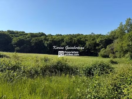 propriété de 12 ha avec prairies + bois + vignes + bâtiments