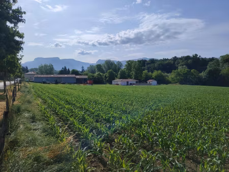 terrain constructible