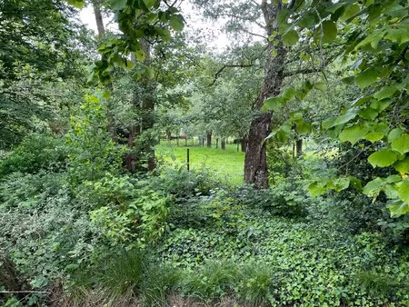 grond te koop in destelbergen