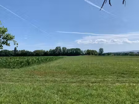 en vente terrain constructible 5 88 ares – 171 150 € |hésingue