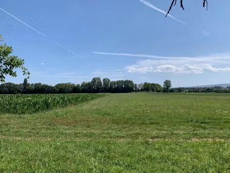 en vente terrain constructible 5 88 ares – 171 150 € |hésingue