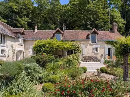 vente maison 9 pièces 270 m² charnizay (37290)