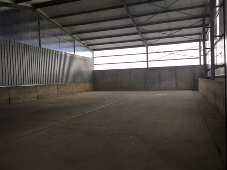 commercieel te huur in geluwe