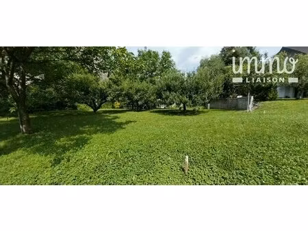 terrain constructible