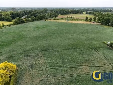 terrain à vendre à wiekevorst € 500.000 (l9kte) - gorris vastgoed | zimmo