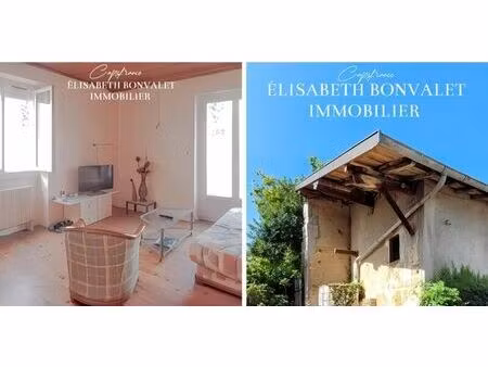 vente maison 4 pièces 560 m² saint-laurent-de-mure (69720)