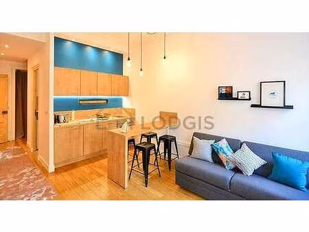 appartement 1 chambre meublé avec cheminée