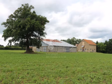 propriété agricole +4ha montaigu-le-blin