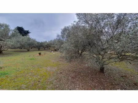 vente terrain 3875 m² à aigues-vives (30670)  45 000 €