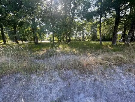 terrain à vendre - belhade (40410)