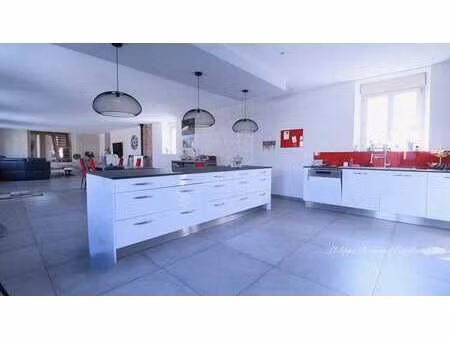 vente maison à saint-hilaire-des-loges (85240) : à vendre / 250m² saint-hilaire-des-loges