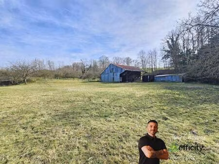 vente terrain à saint-calais (72120) : à vendre / 18104m² saint-calais