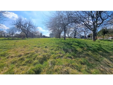 terrain constructible