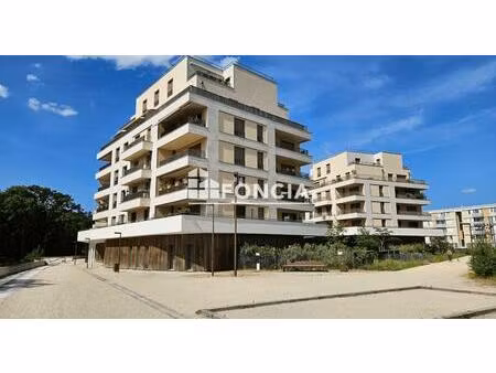 calme  face à la forêt