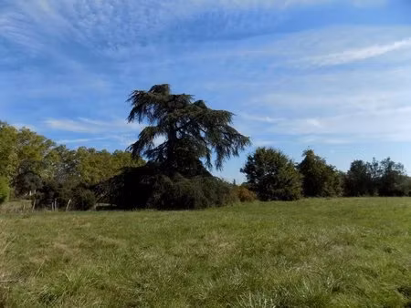 terrain constructible proche mirande