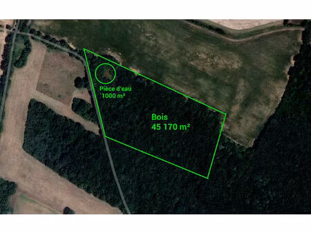 achat terrain 45 170m²