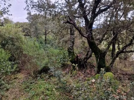 proche sartene à vendre terrain de 2032 m2