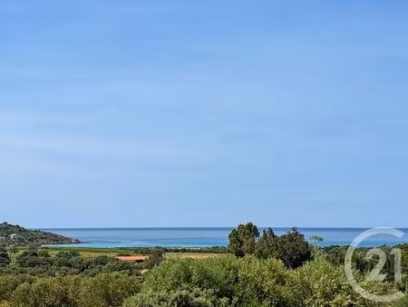 maison à vendre - 5 pièces - 246 57 m2 - belgodere - 202 - corse