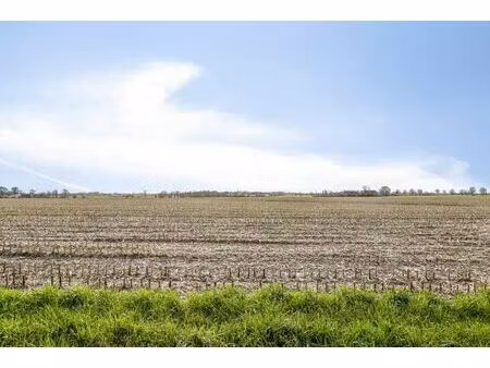 vivre paisiblement dans une zone rurale près de deinze