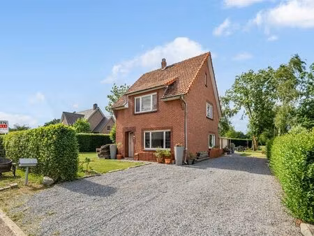 maison à vendre à reppel € 297.000 (l9o4y) - heylen vastgoed - lommel | zimmo