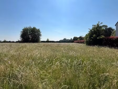 magnifique terrain à bâtir (lot 3)