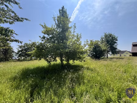 folgensbourg au calme terrain constructible de 13 23 ares