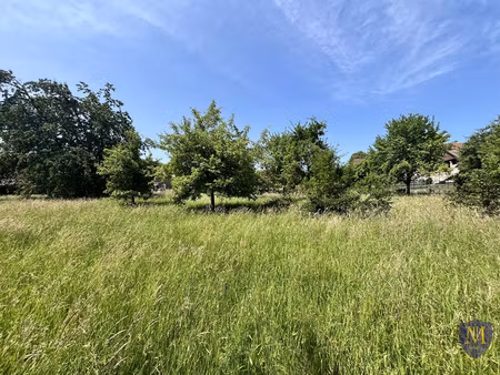 folgensbourg au calme terrain constructible de 14 80 ares