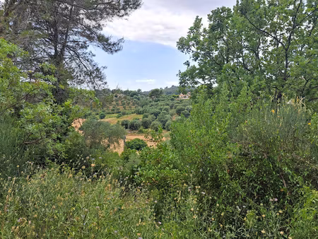 vente terrain à grasse (06130)  350 000 €
