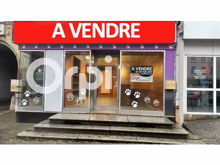 vente locaux professionnels à bruyeres (88600)  72 300 €