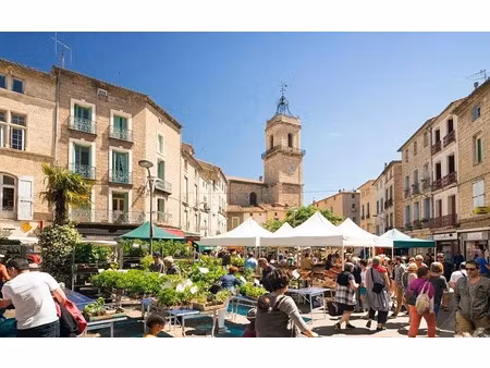 vente locaux professionnels à pezenas (34120)  140 000 €